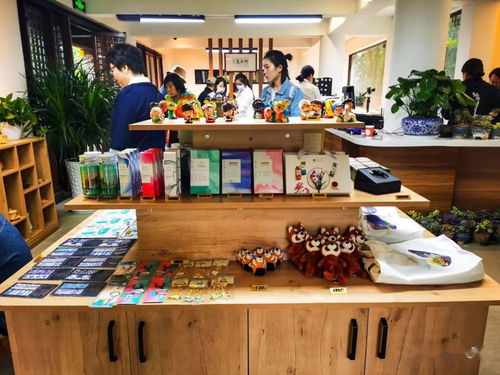 大理文旅融合新篇章 旅游集团与高校携手，民族文化创意中心试运营启航